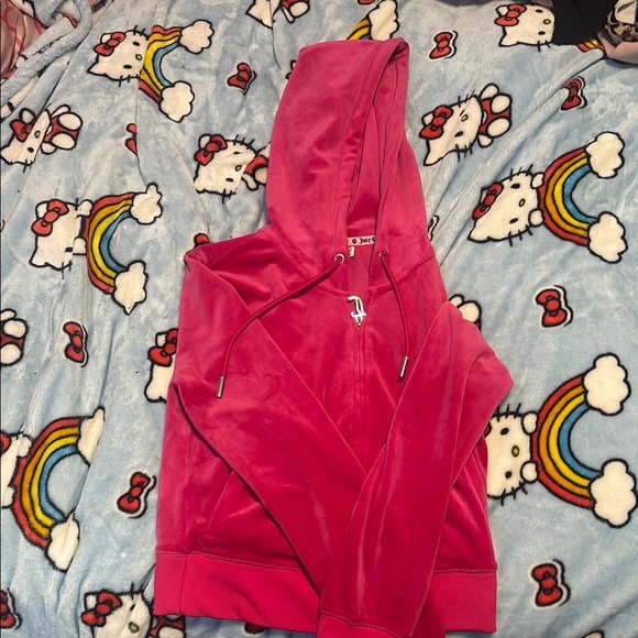 Pink Velour Hoodie - Picture 1 of 3